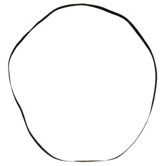 Lemezjátszó meghajtó laposszíj 660mm