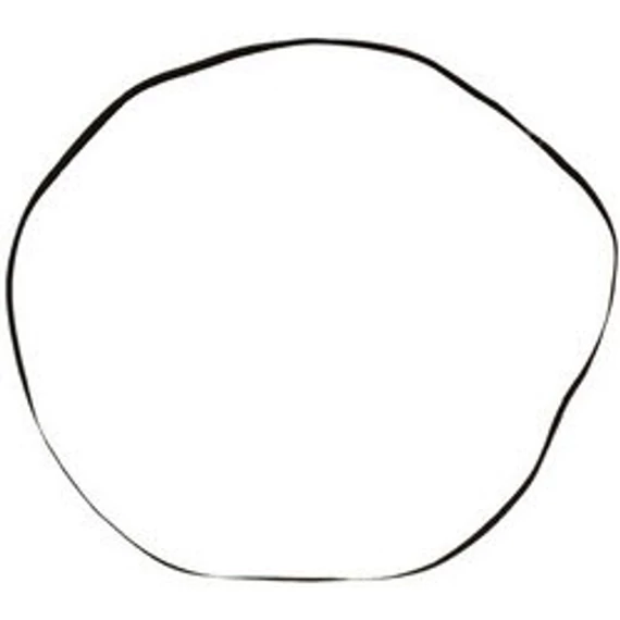 Laposszíj lemezjátszóhoz (660mm) 210x5x.0,5mm