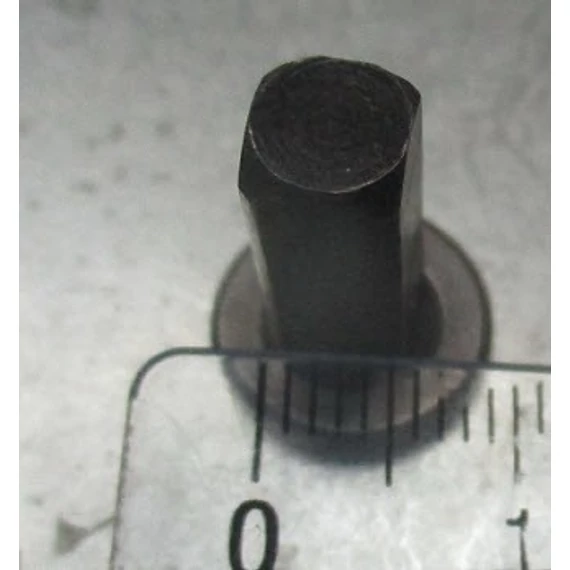 Delonghi olajsütő motor TY49 220V